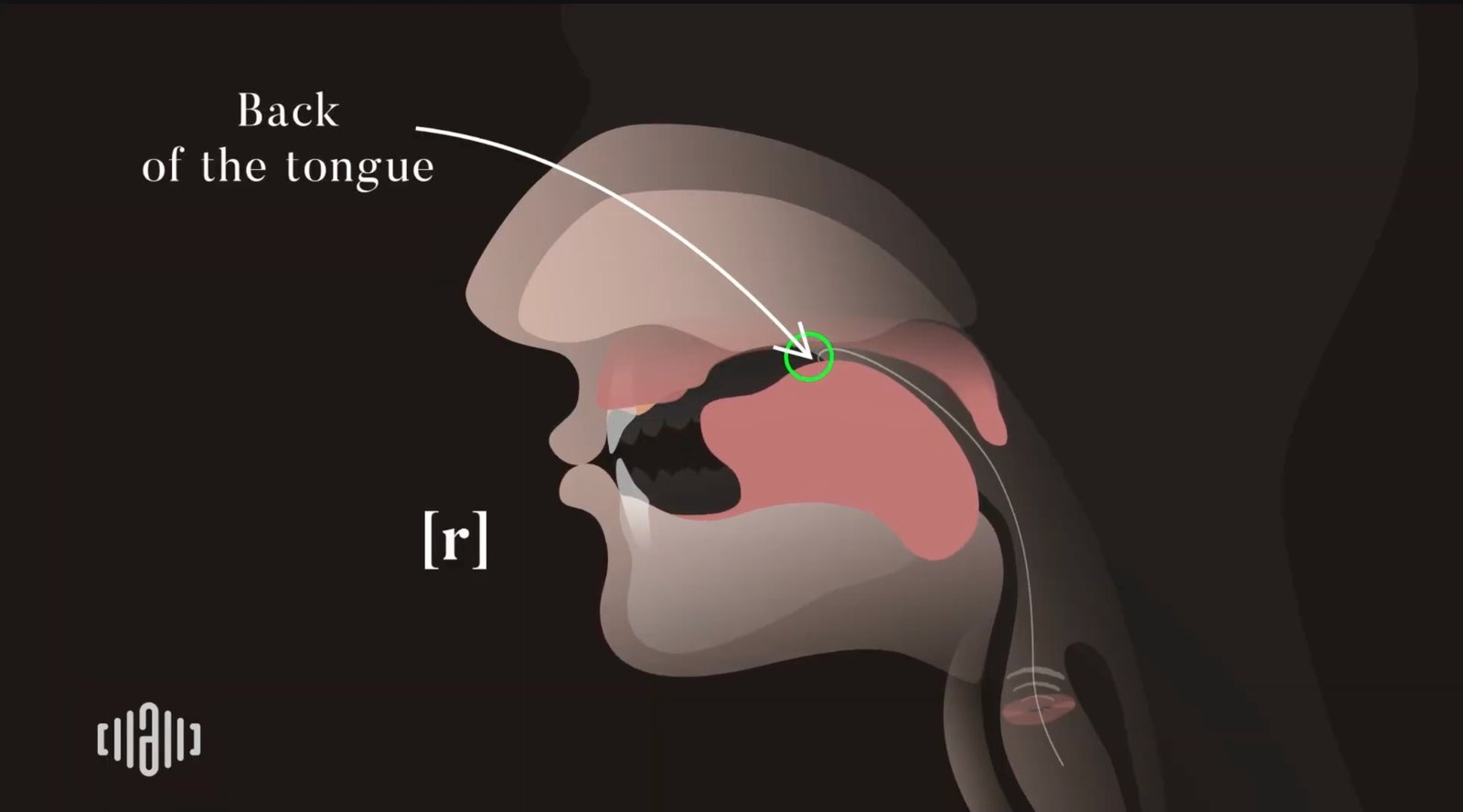 Interactive 2D Sound Motion Technology image showing American R sound tongue position