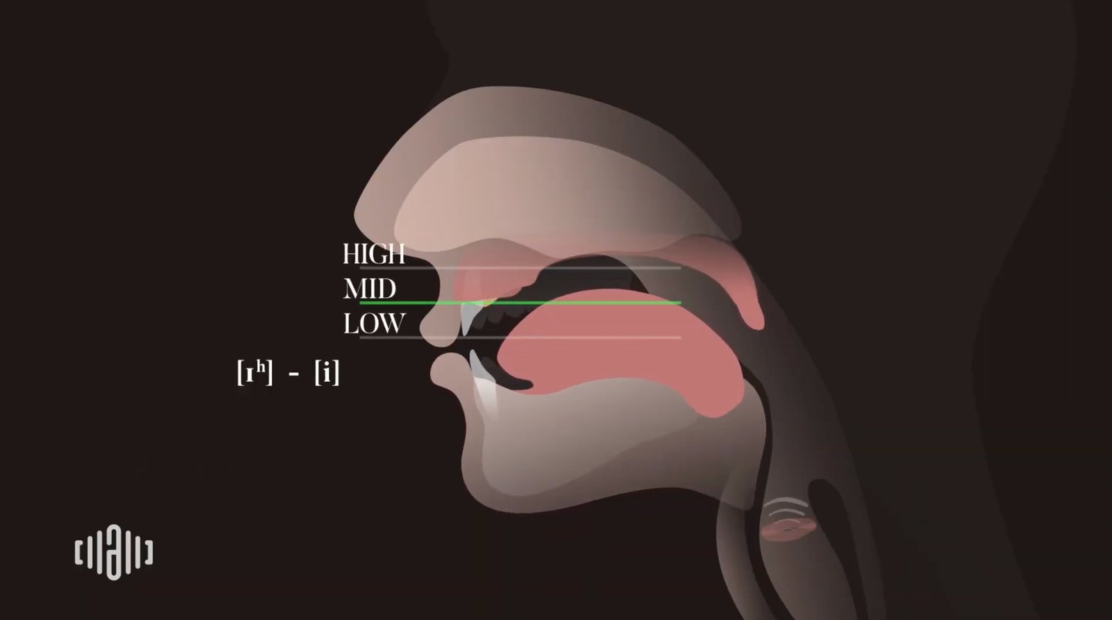 Interactive 2D Sound Motion Technology image showing lower tongue position for the short I vowel in ship