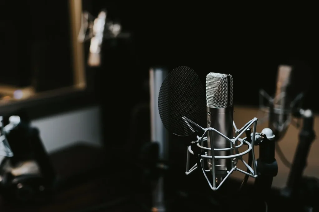 Recording studio, indoors, mic - Pronunciation Self-Monitoring for Professionals