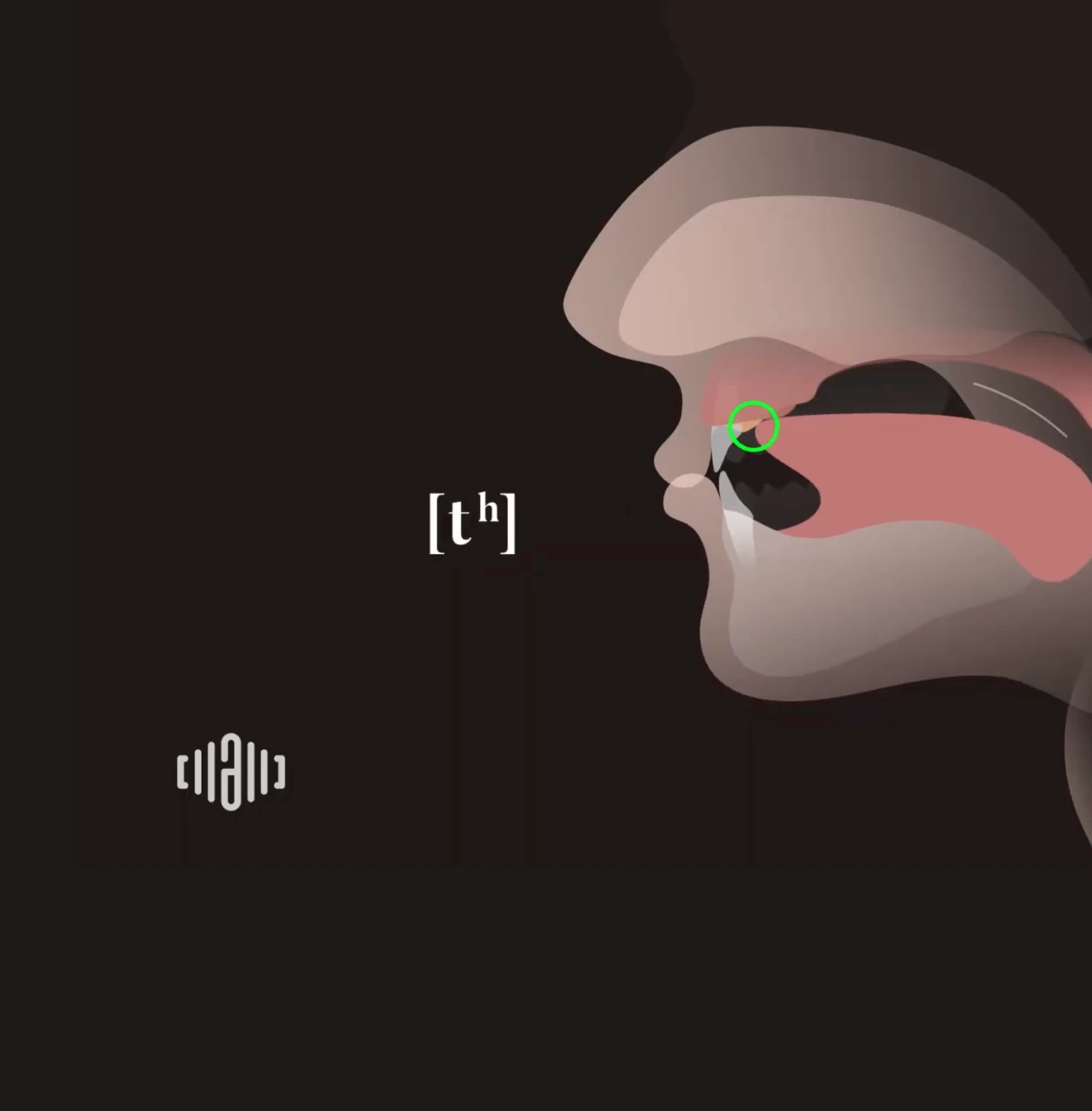 2D Sound Motion Technology accent training